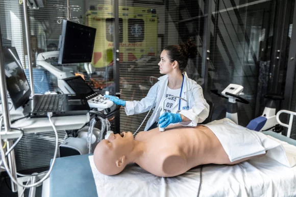 Join our webinars for prospective students